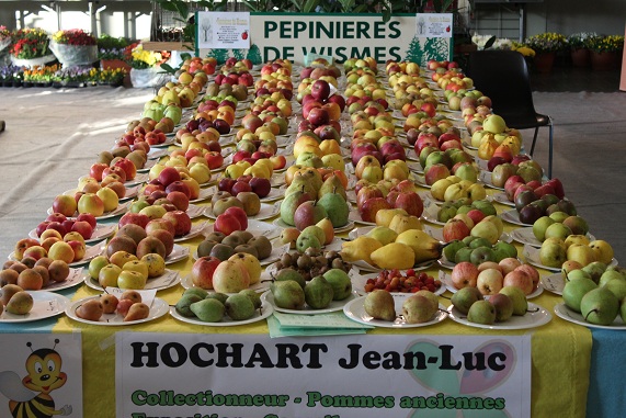 Pommes Hochart.JPG