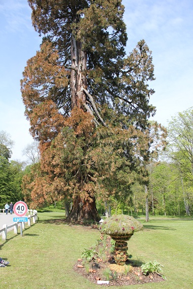 Cheve 047.JPG