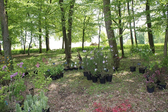 Cheve 061.JPG