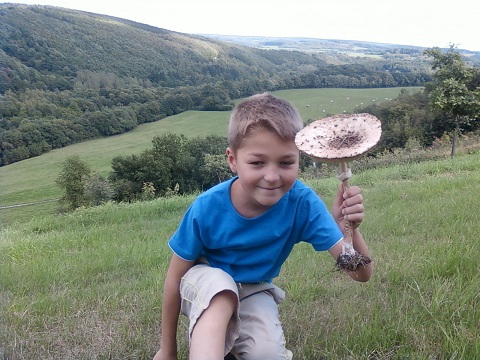 Coulemelle.jpg