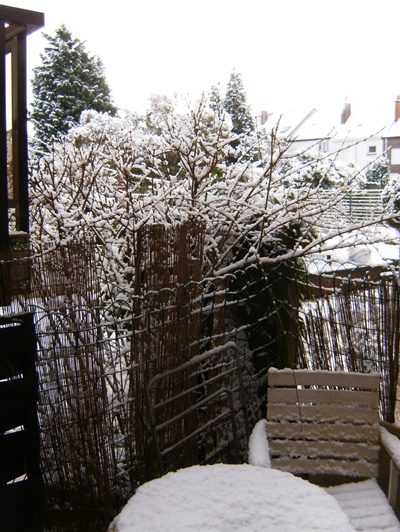 general 2010 010.jpg