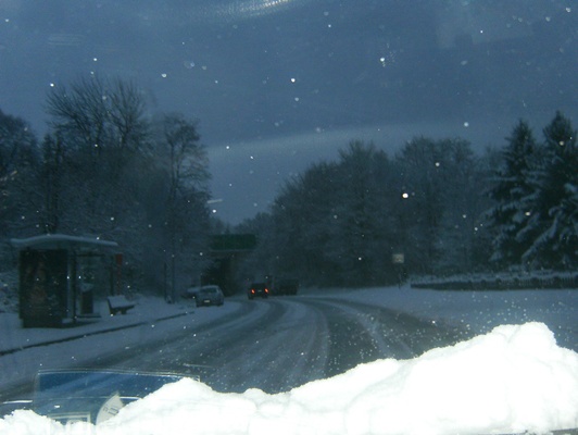 general 2010 012.jpg