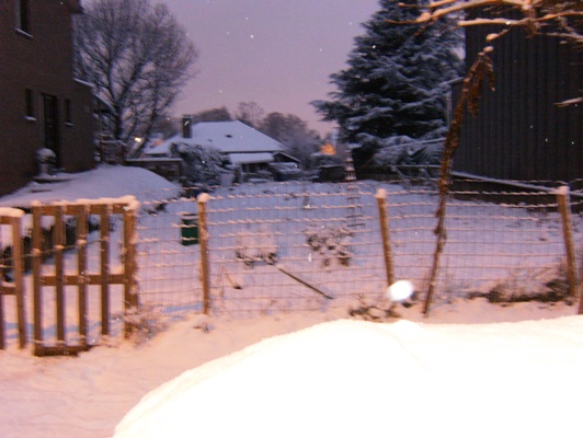 general 2010 018.jpg