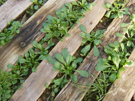 general 2010 027.jpg