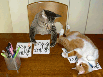 je demande à verifier la liste des votants !!!