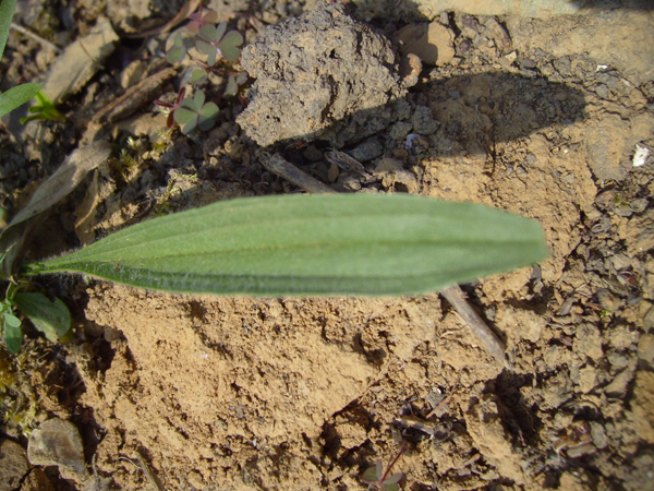 S7006773.JPG