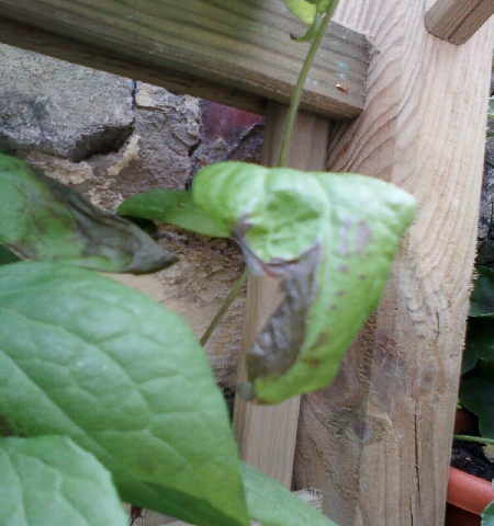 Photo-0147.jpg