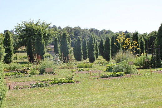 Potager romain 2.JPG