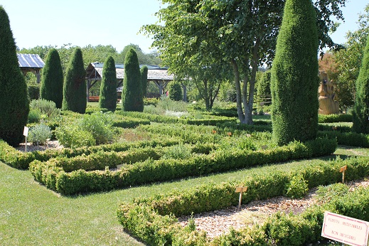 Potager romain 1.JPG