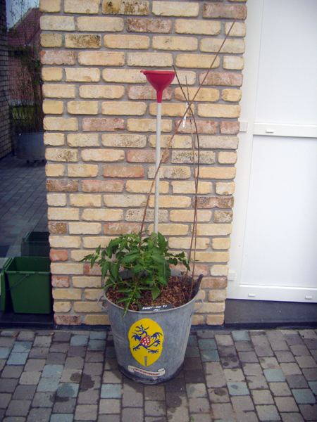 ARROSER_TOMATE_04.jpg
