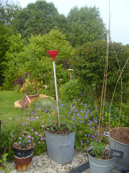 ARROSER_TOMATE_05.jpg