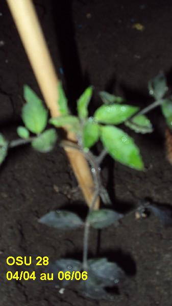 OSU28_nuit_0404_0606_2.JPG