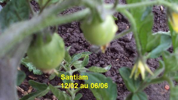 Santiam_ext_1202_0606_2.JPG