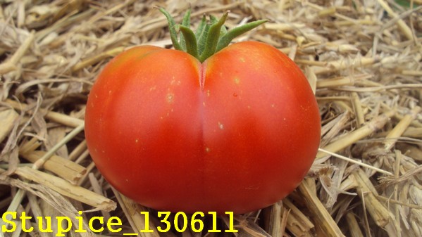 Stupice_1306_2.jpg