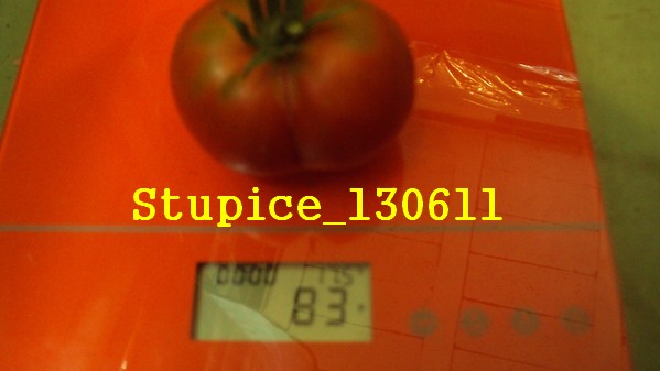 Stupice_1306_3.jpg