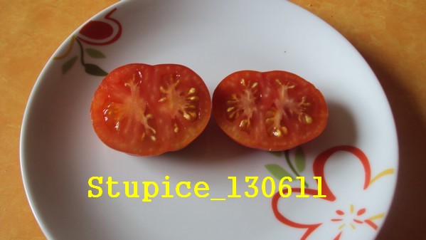 Stupice_1306_4.jpg