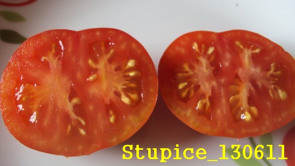Stupice_1306_5.jpg