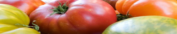 tomate.JPG