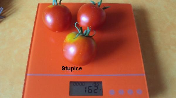 Stupice_2206_1.JPG