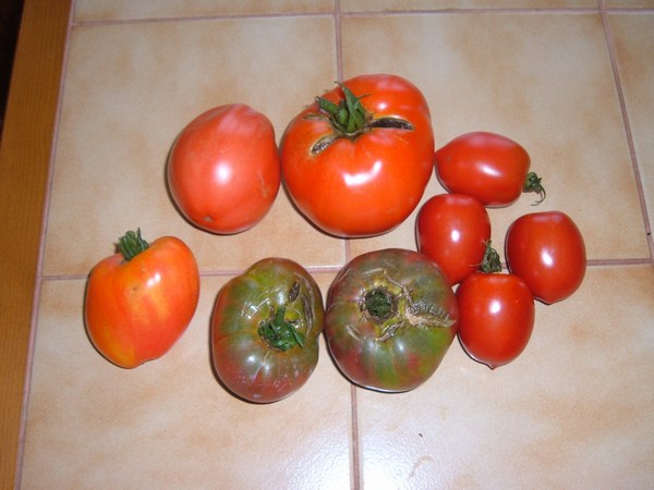 1Kg475 de bonheur