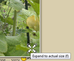 loupe_fonction_plein_ecran.png