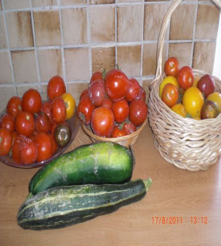 courgettes + tomates