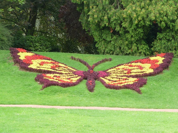 Le papillon du jardin public