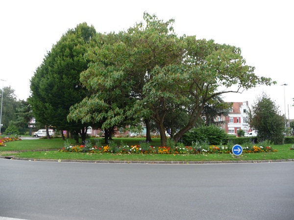 Rond point Saint Druon