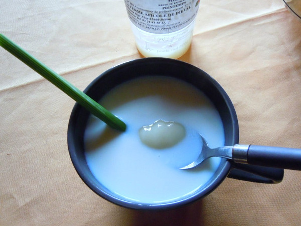 infusion lait miel livèche.jpg