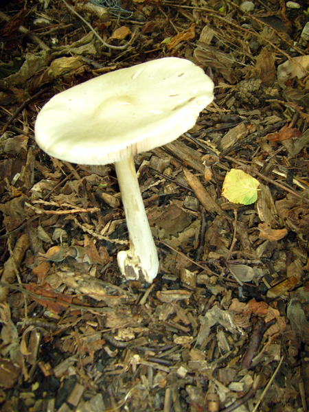 02.jpg