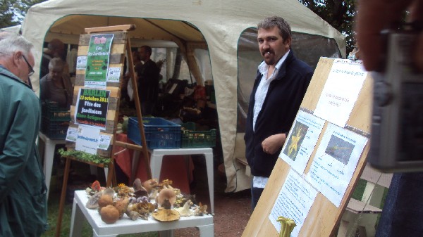 Le maitre es champignons