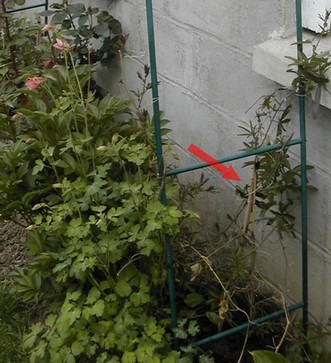 Photo prise le 7 mai 2010