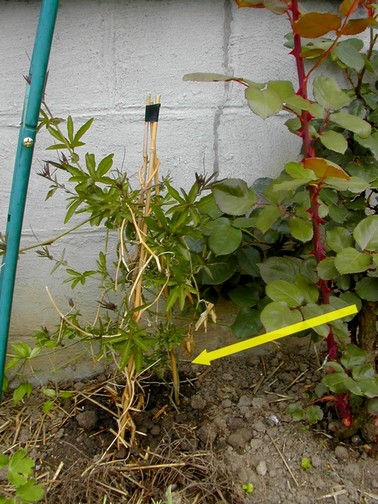 Photo prise le 7 mai 2010