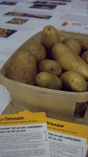 Les Pompadour issues de mon potager