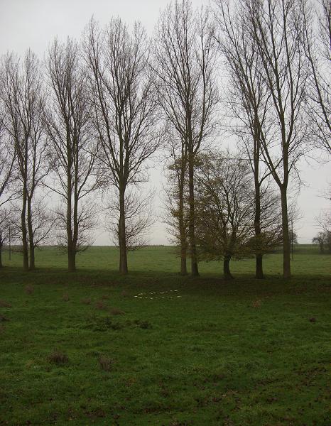 le milieu, vu de la route