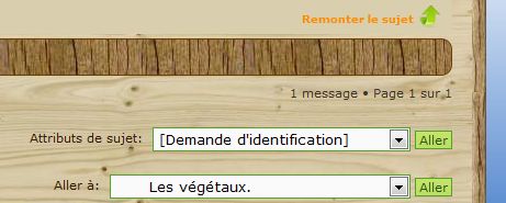 Zone des attributs en bas à droite du dernier message