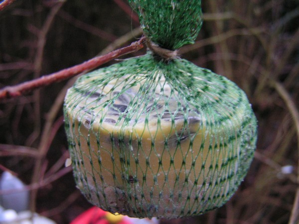 boule graisse_3.JPG