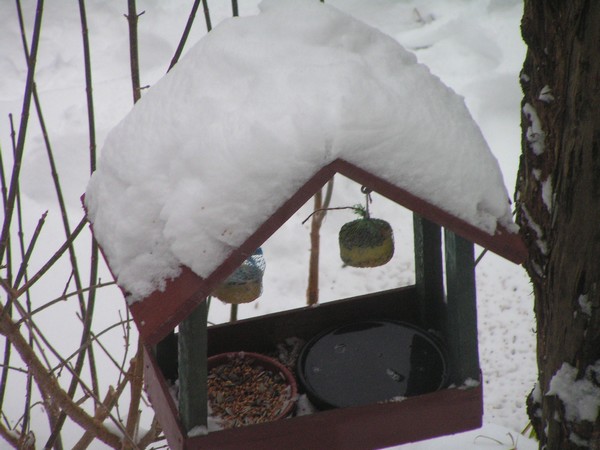 PICT0260.jpg