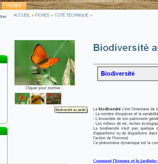 zoom_fiche_01.png