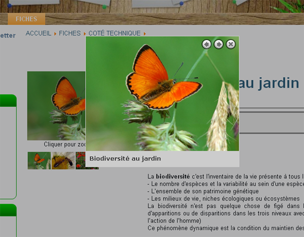zoom_fiche_02.png