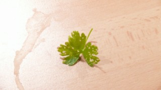 P1060468 [320x200].JPG