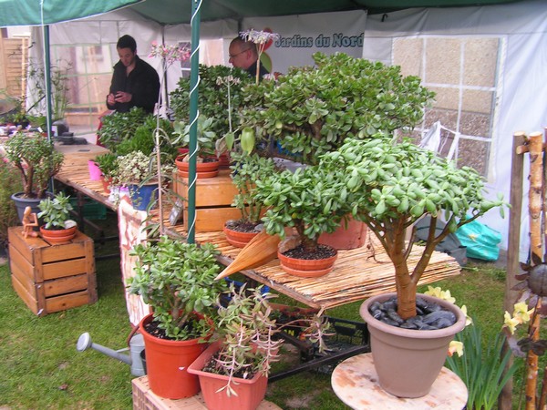 fete des plantes Locon_02.jpg