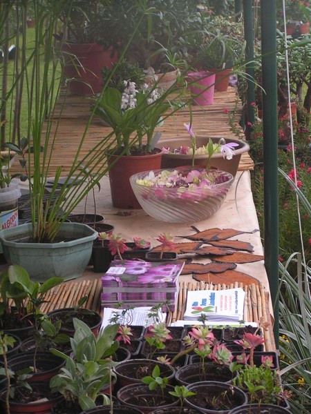 fete des plantes Locon_04.jpg