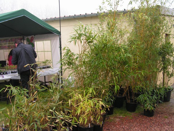 fete des plantes Locon_08.jpg
