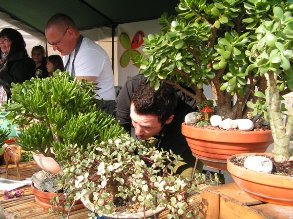 fete des plantes Locon_51.jpg