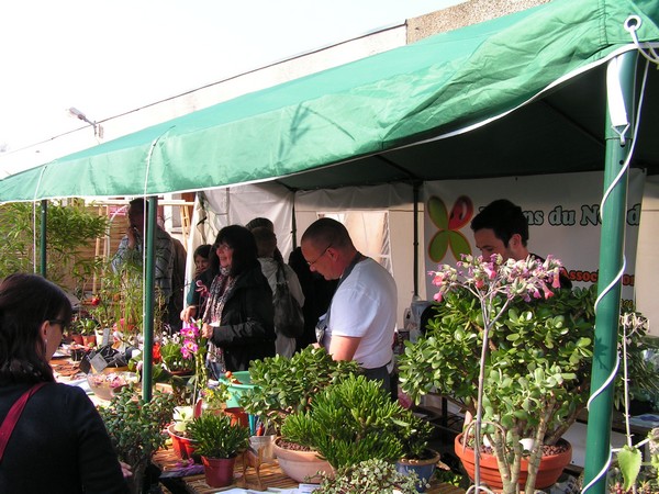 fete des plantes Locon_57.jpg