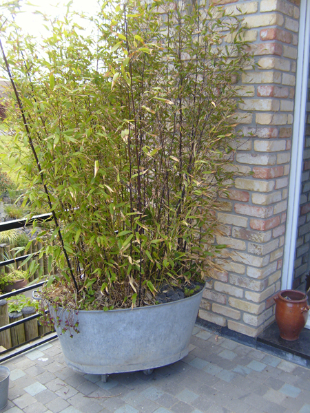 S7000701.JPG