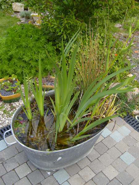 S7000703.JPG