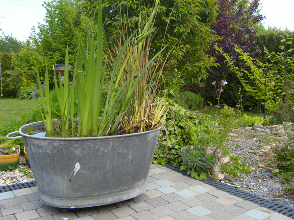 S7000704.JPG