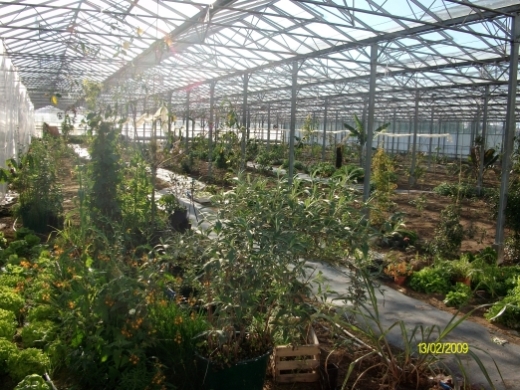 jardin 2.jpg